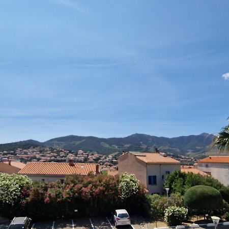 Banyuls-Sur-Mer: T2 Avec Terrasse Couverte Et Parking Privatif - Fr-1-309-146 Exterior foto